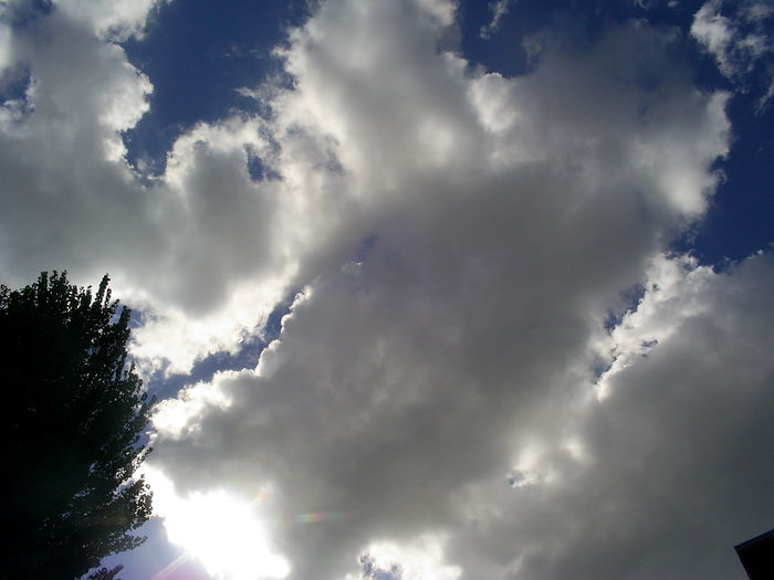S4027394
