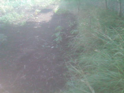 SP_A0656 - amalgam