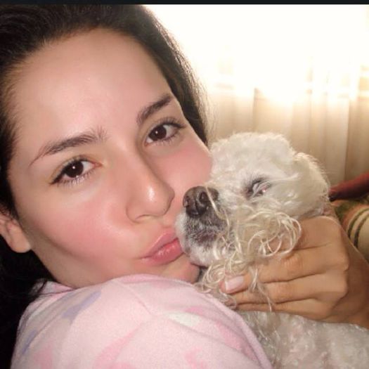 1962838_702000909895807_8433549903479872135_n