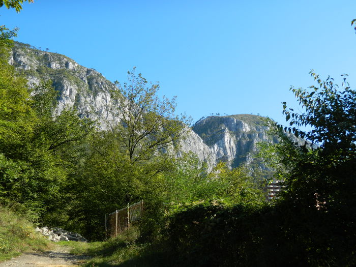 DSCN9960 - HERCULANE_2_SEPTEMBRIE_2014