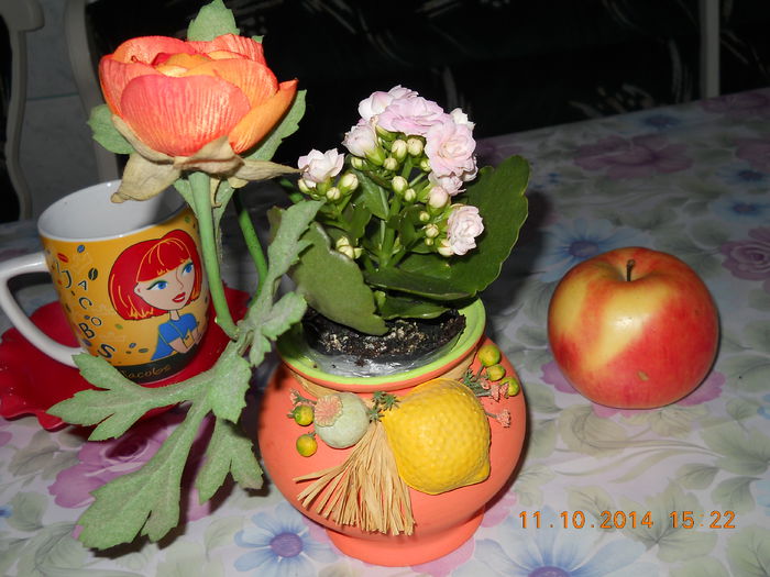 002 - ACHIZITII 2014