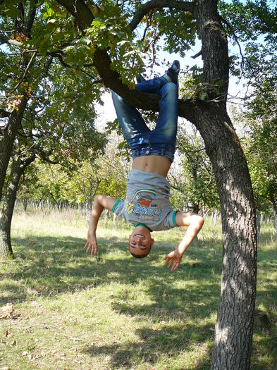 P1570091 - 2014 - Padure - 11 octombrie