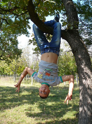 P1570092 - 2014 - Padure - 11 octombrie