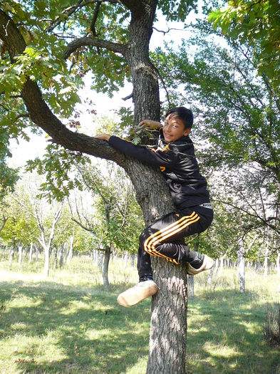 P1570093 - 2014 - Padure - 11 octombrie