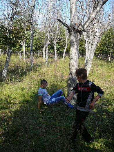 P1570094 - 2014 - Padure - 11 octombrie