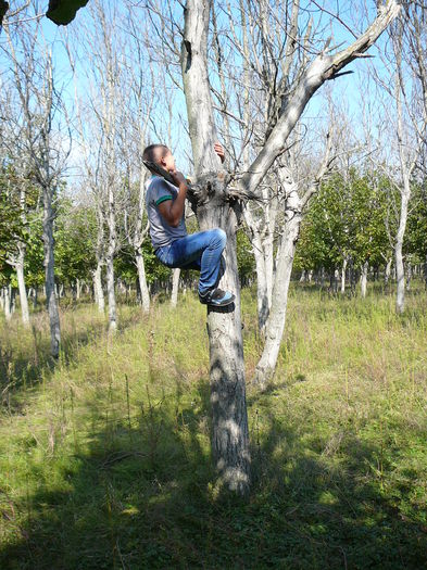 P1570095 - 2014 - Padure - 11 octombrie