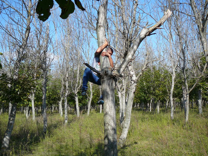 P1570096 - 2014 - Padure - 11 octombrie