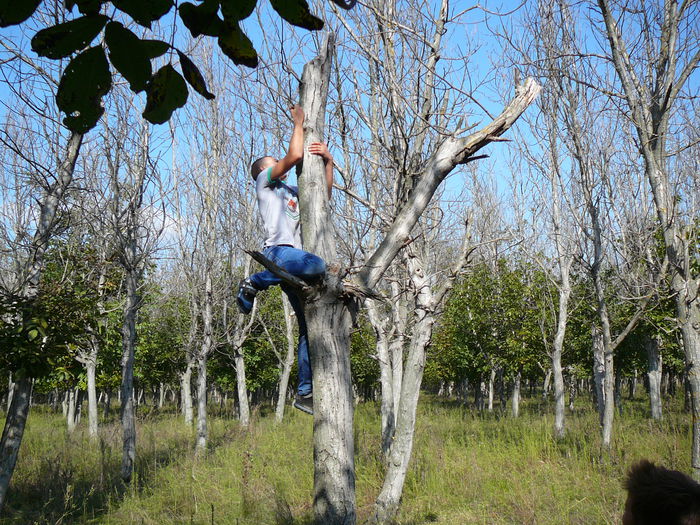 P1570097 - 2014 - Padure - 11 octombrie