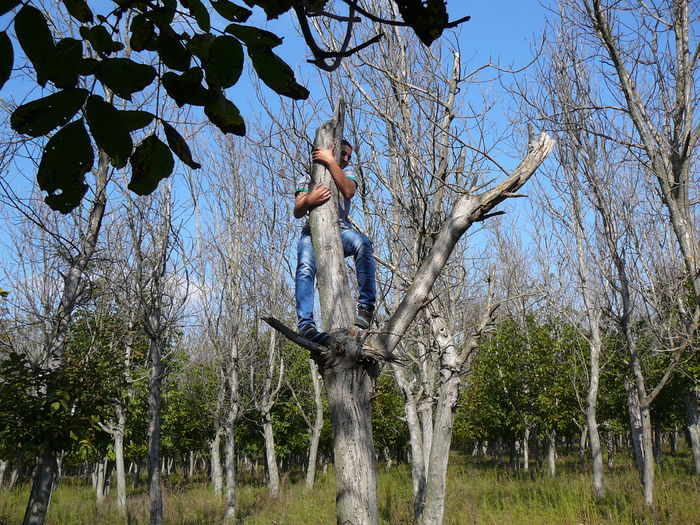 P1570098 - 2014 - Padure - 11 octombrie