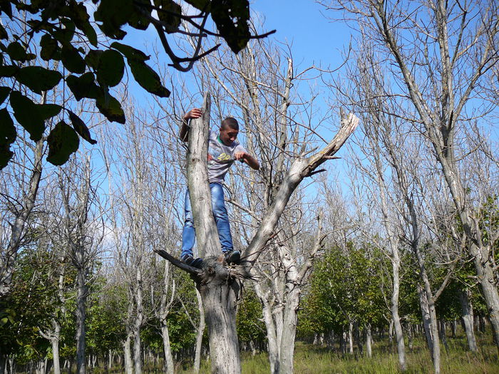 P1570099 - 2014 - Padure - 11 octombrie