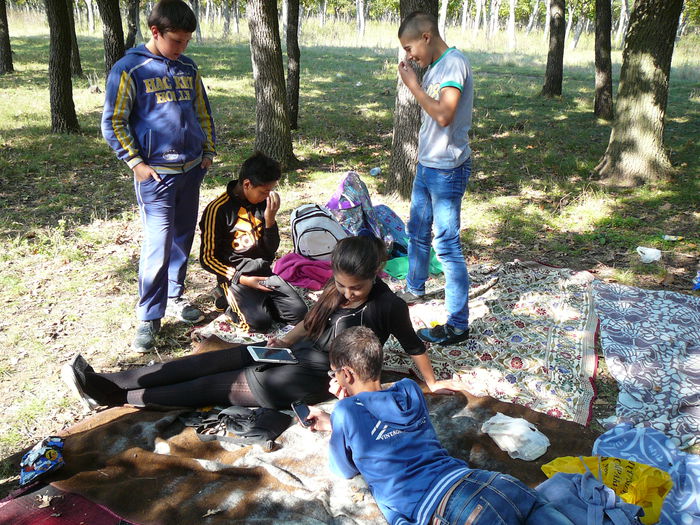 P1570102 - 2014 - Padure - 11 octombrie