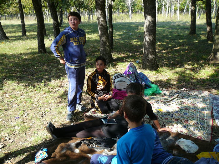 P1570103 - 2014 - Padure - 11 octombrie