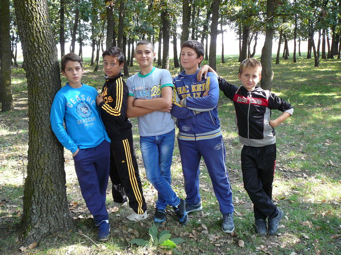 P1570104 - 2014 - Padure - 11 octombrie