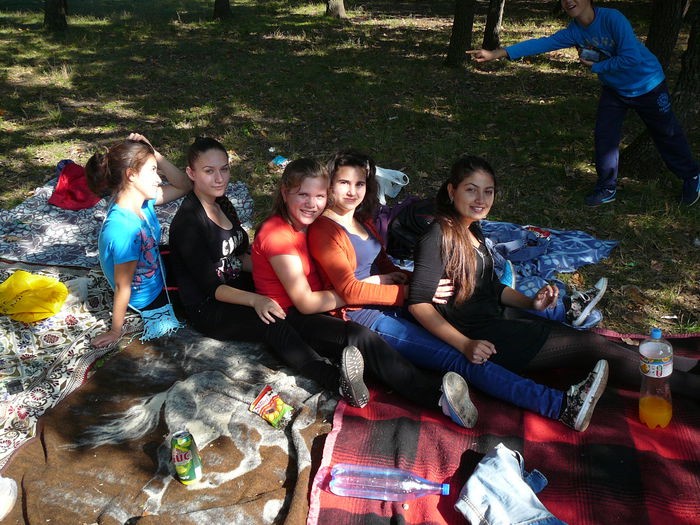 P1570142 - 2014 - Padure - 11 octombrie