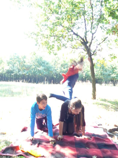 P1570144 - 2014 - Padure - 11 octombrie