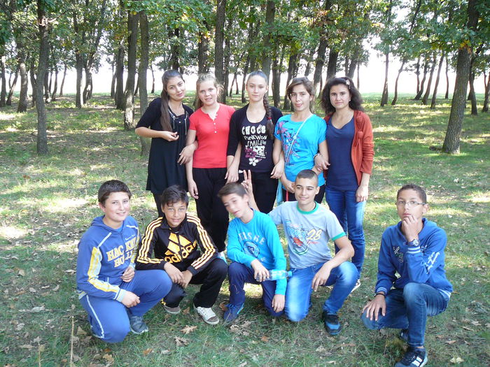 P1570159 - 2014 - Padure - 11 octombrie