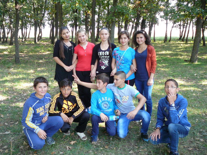 P1570160 - 2014 - Padure - 11 octombrie