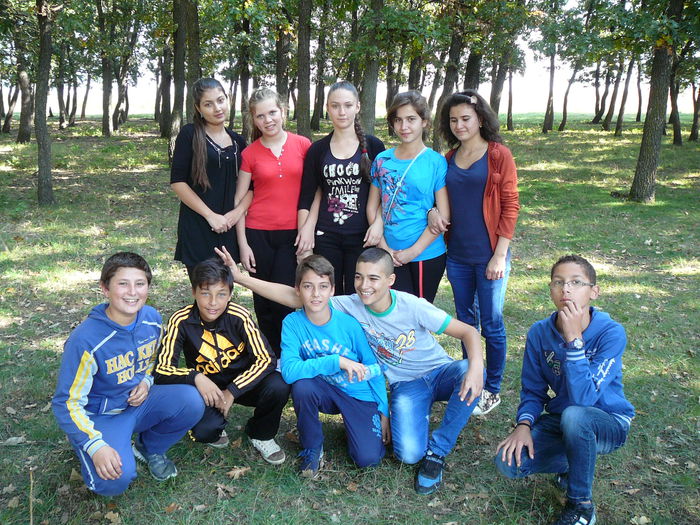 P1570161 - 2014 - Padure - 11 octombrie