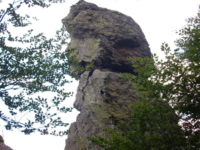 Sfinxul Oaşului; situat pe vf. Pietroasa,la1200m,în m-ţii Oaşului,între loc.Băiţa(MM)şi Luna şes(SM)
