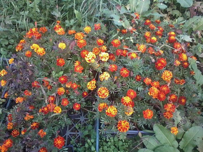 20141011_162530