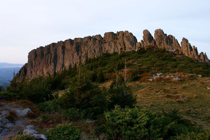 Creasta Cocoşului; Rezervaţie Monument al naturii,situată în Munţii Gutâi,satul Mara;are trasee de căţărare
