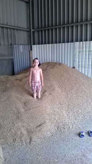 WP_20140718_14_59_09_Smart