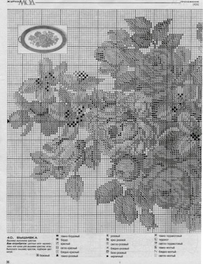 R58