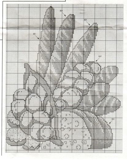 r148 - cusaturi 29