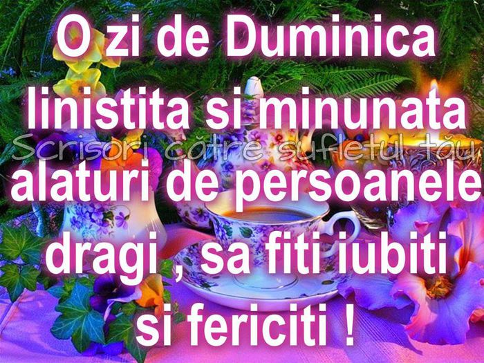 10365971_1490073411228749_5453128397976205803_n