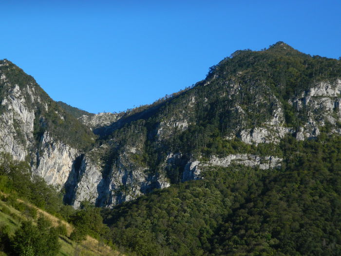 DSCN0003 - HERCULANE_2_SEPTEMBRIE_2014