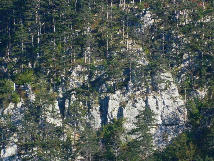 DSCN0004 - HERCULANE_2_SEPTEMBRIE_2014