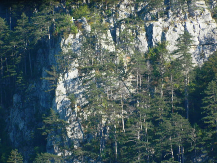 DSCN0006 - HERCULANE_2_SEPTEMBRIE_2014