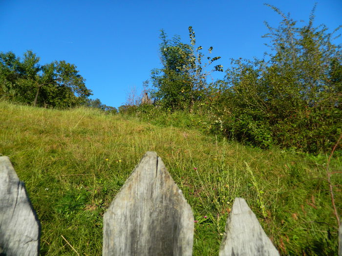 DSCN0012 - HERCULANE_2_SEPTEMBRIE_2014