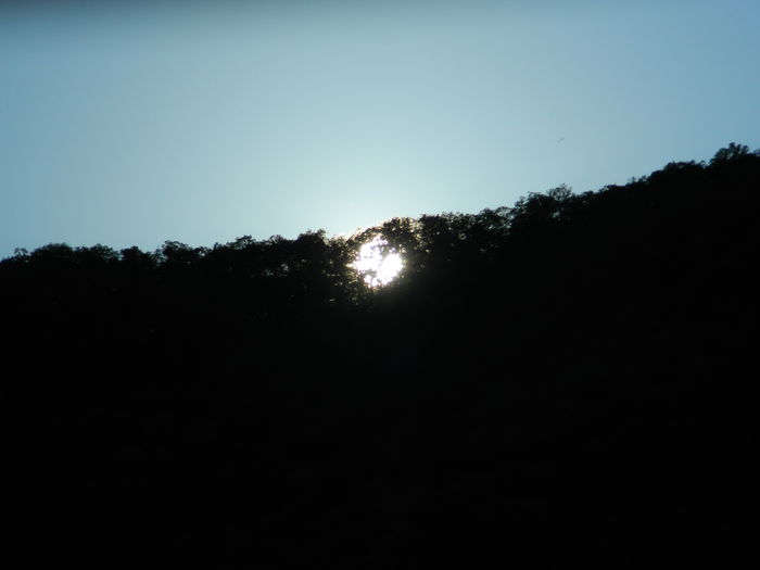 DSCN0014 - HERCULANE_2_SEPTEMBRIE_2014