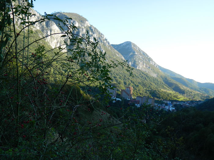 DSCN0018 - HERCULANE_2_SEPTEMBRIE_2014
