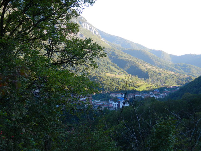 DSCN0021 - HERCULANE_2_SEPTEMBRIE_2014
