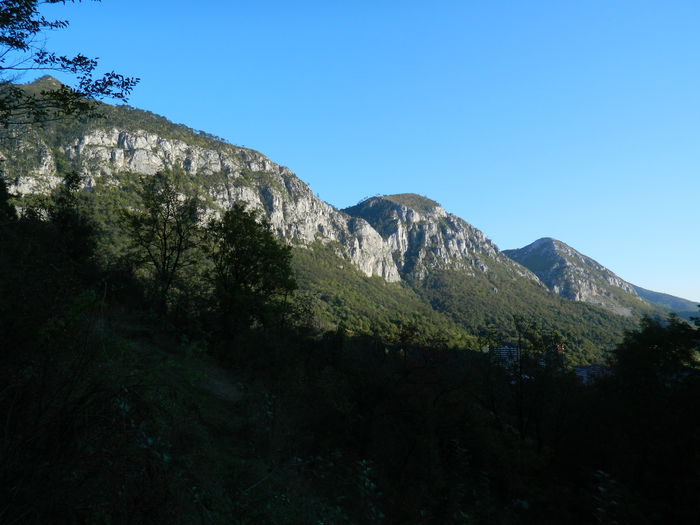DSCN0029 - HERCULANE_2_SEPTEMBRIE_2014