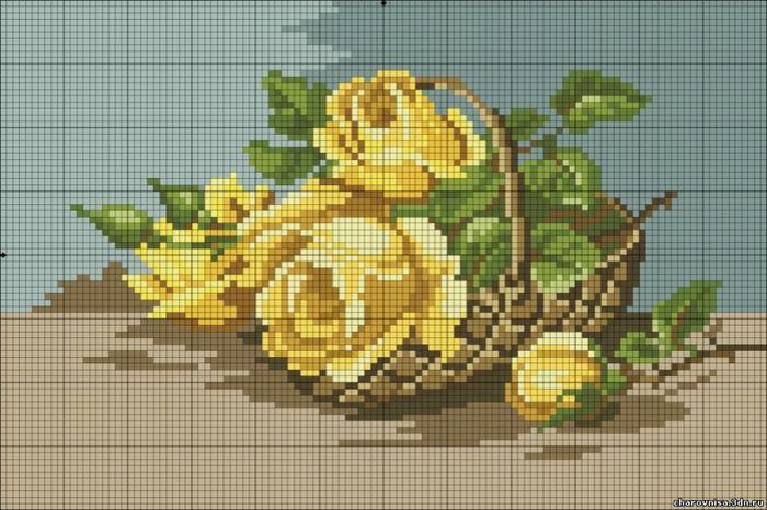 29a9bb6e6ec5a1252fbbbb7d41f7044b - cusaturi 24