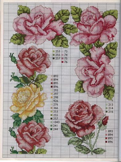 098cda322dc4f604f4591d8e820b91e9 - cusaturi 24