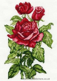 ccfd60c8c2cab35da91e9498ca0d828f