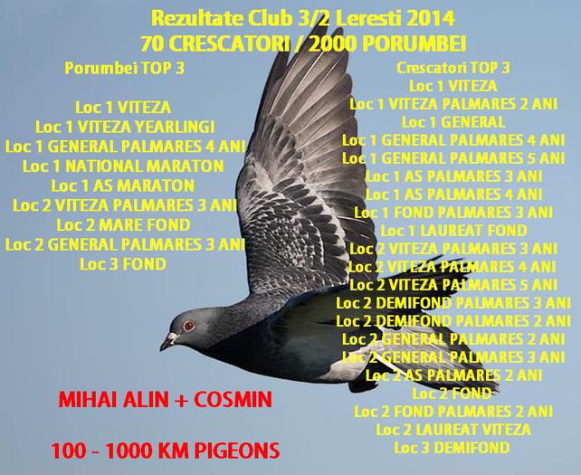 NORME CLUB 2014 - REZULTATE -NORME 2014 CLUB