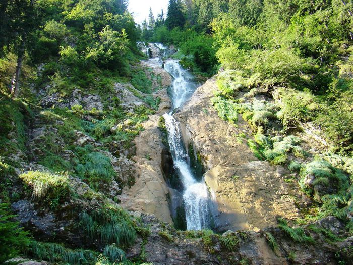 Cascada Cailor; pe rîul Izvorul Cailor din muntii Rodnei,lînga Borşa
