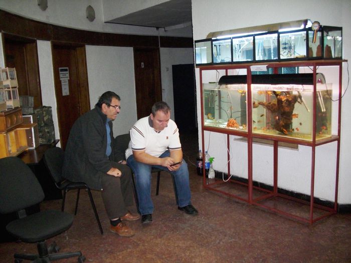 Canari pt.EXPO-AEO-2014 078