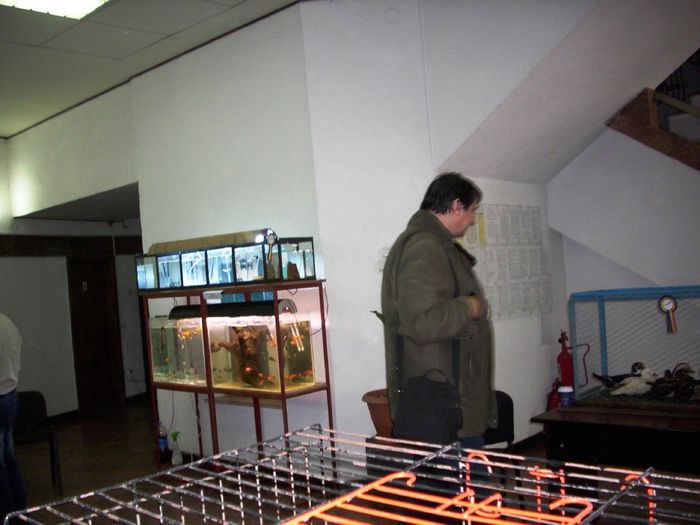 Canari pt.EXPO-AEO-2014 085