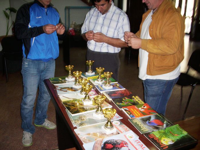 Canari pt.EXPO-AEO-2014 089