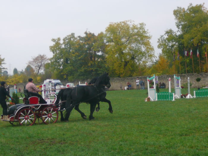 P1160602 - KARPATIA HORSE TRIALS 2014