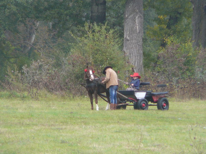 P1160419 - KARPATIA HORSE TRIALS 2014