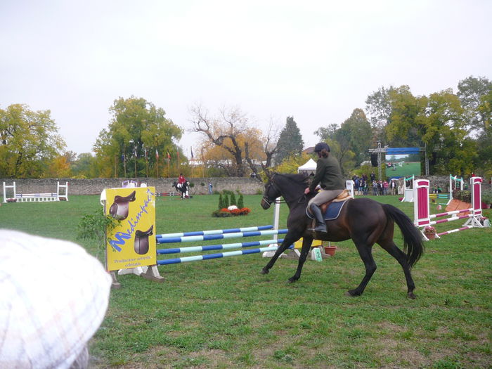 P1160431 - KARPATIA HORSE TRIALS 2014