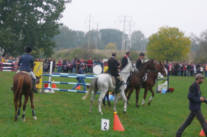 P1160471 - KARPATIA HORSE TRIALS 2014