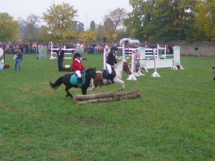 P1160500 - KARPATIA HORSE TRIALS 2014